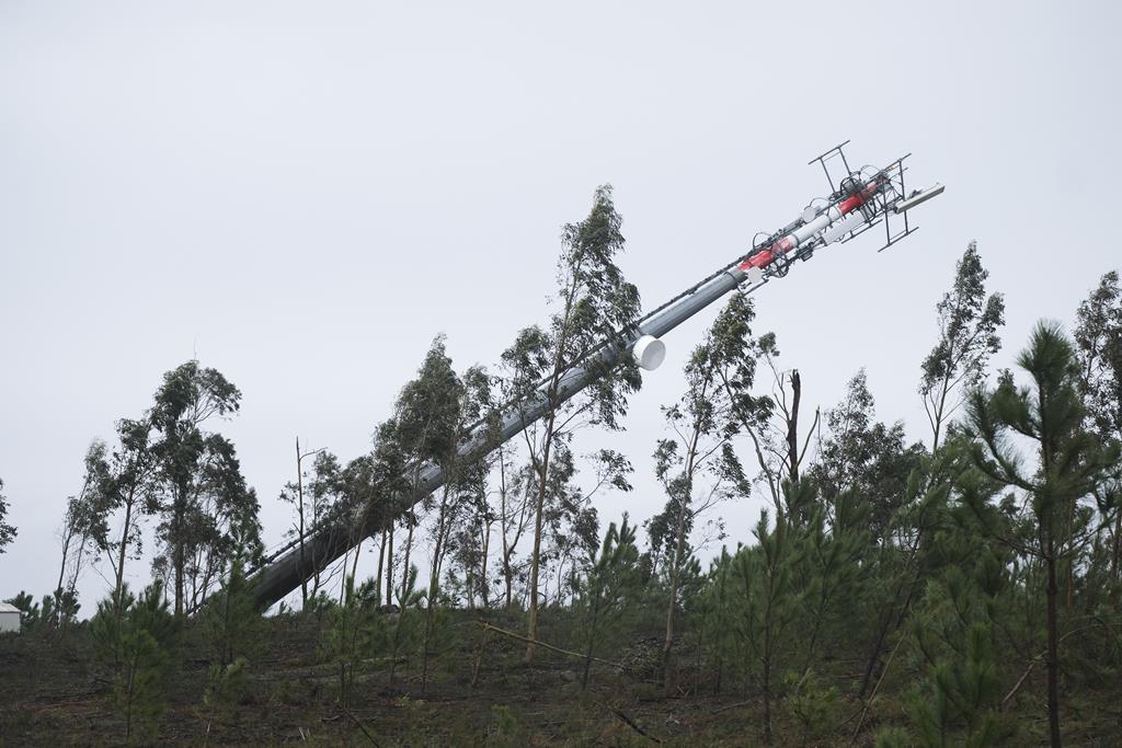 Pinhal de Leiria após a tempestade, com árvores partidas e pilar metálico de comunicações derrubado